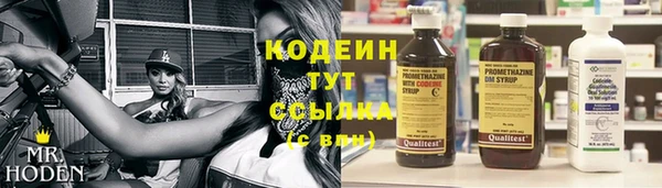сатива Гусев