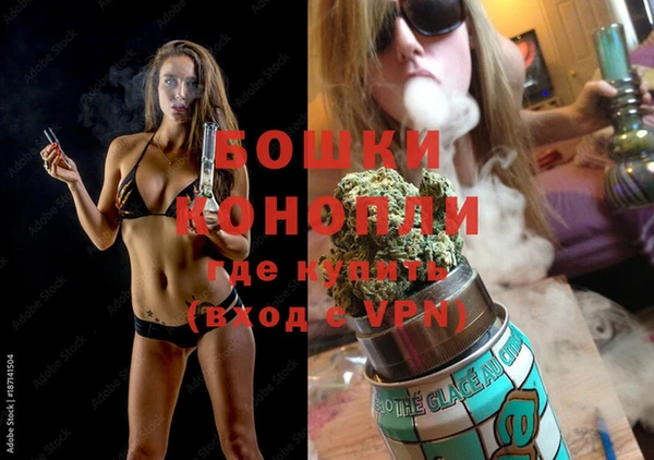 сатива Гусев