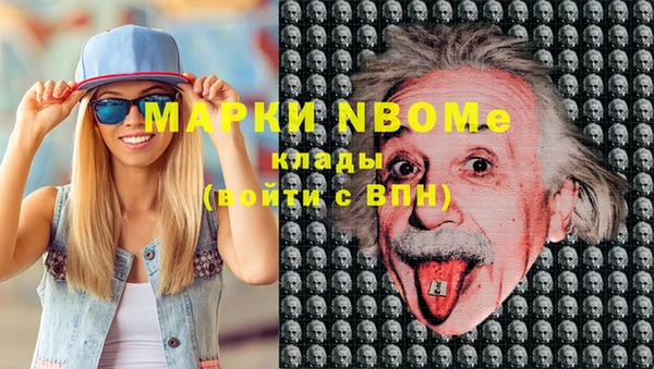 сатива Гусев