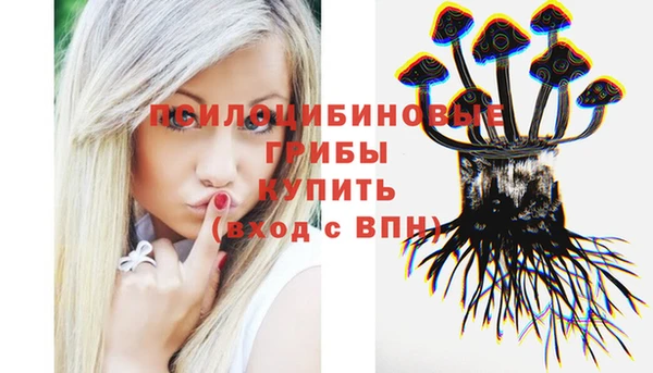 сатива Гусев