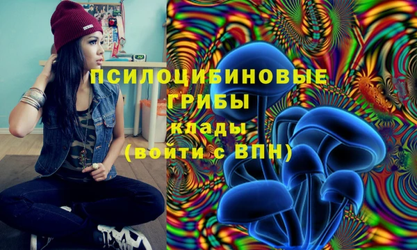 круглые Гусиноозёрск