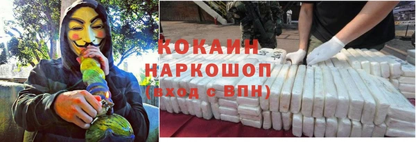 сатива Гусев