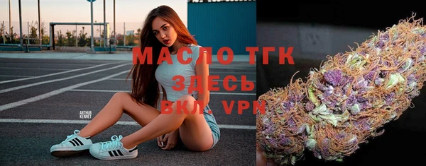 сатива Гусев