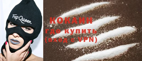 сатива Гусев