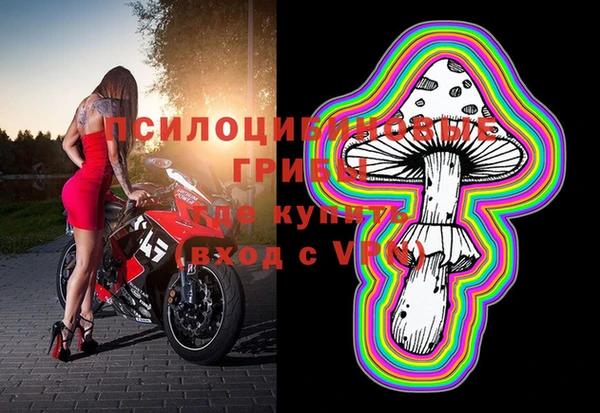 герыч Гусь-Хрустальный