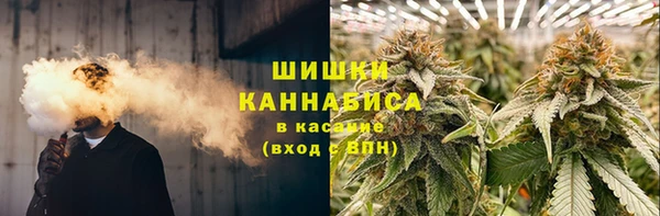 сатива Гусев