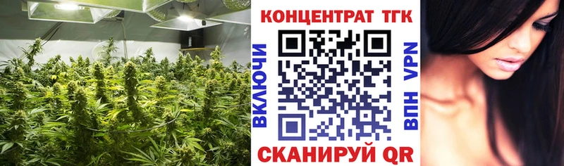Дистиллят ТГК концентрат  Купить закладки  Камызяк 